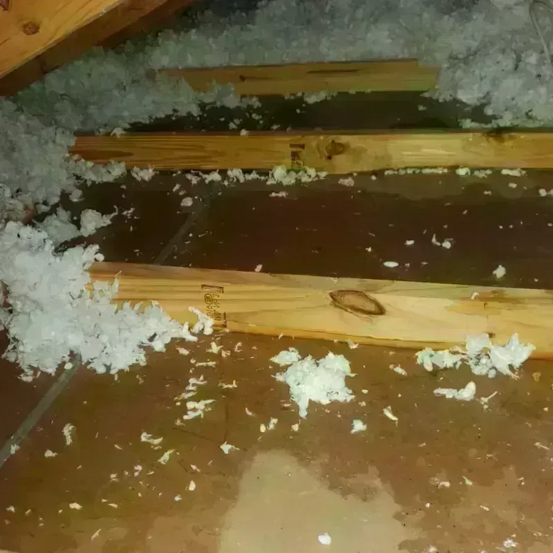 Attic Water Damage in Los Angeles County, CA